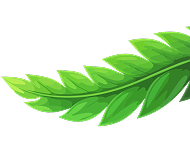 section bg leaf right
